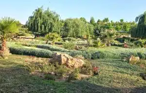 باغ گلها شیراز