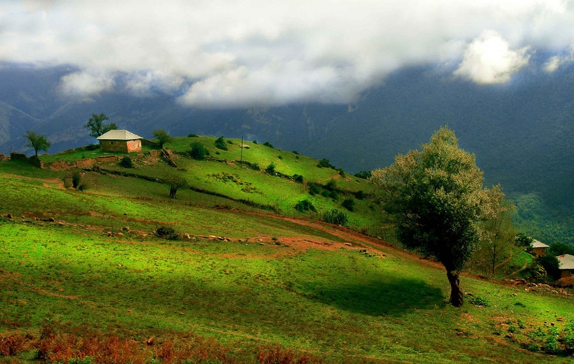 جنگل سراوان رشت